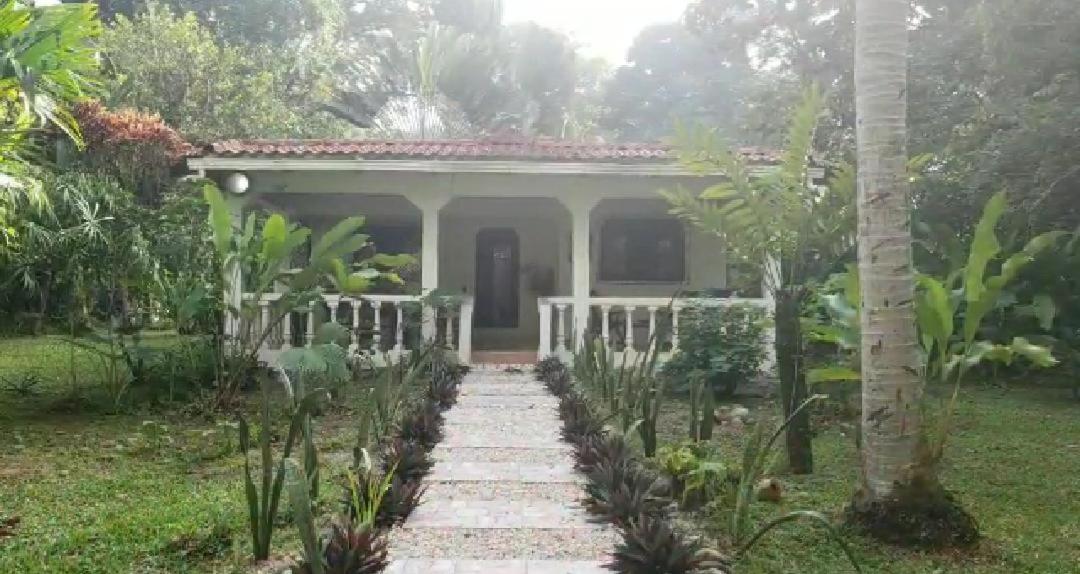 Hostal Cecilia Puerto Viejo de Talamanca Kültér fotó