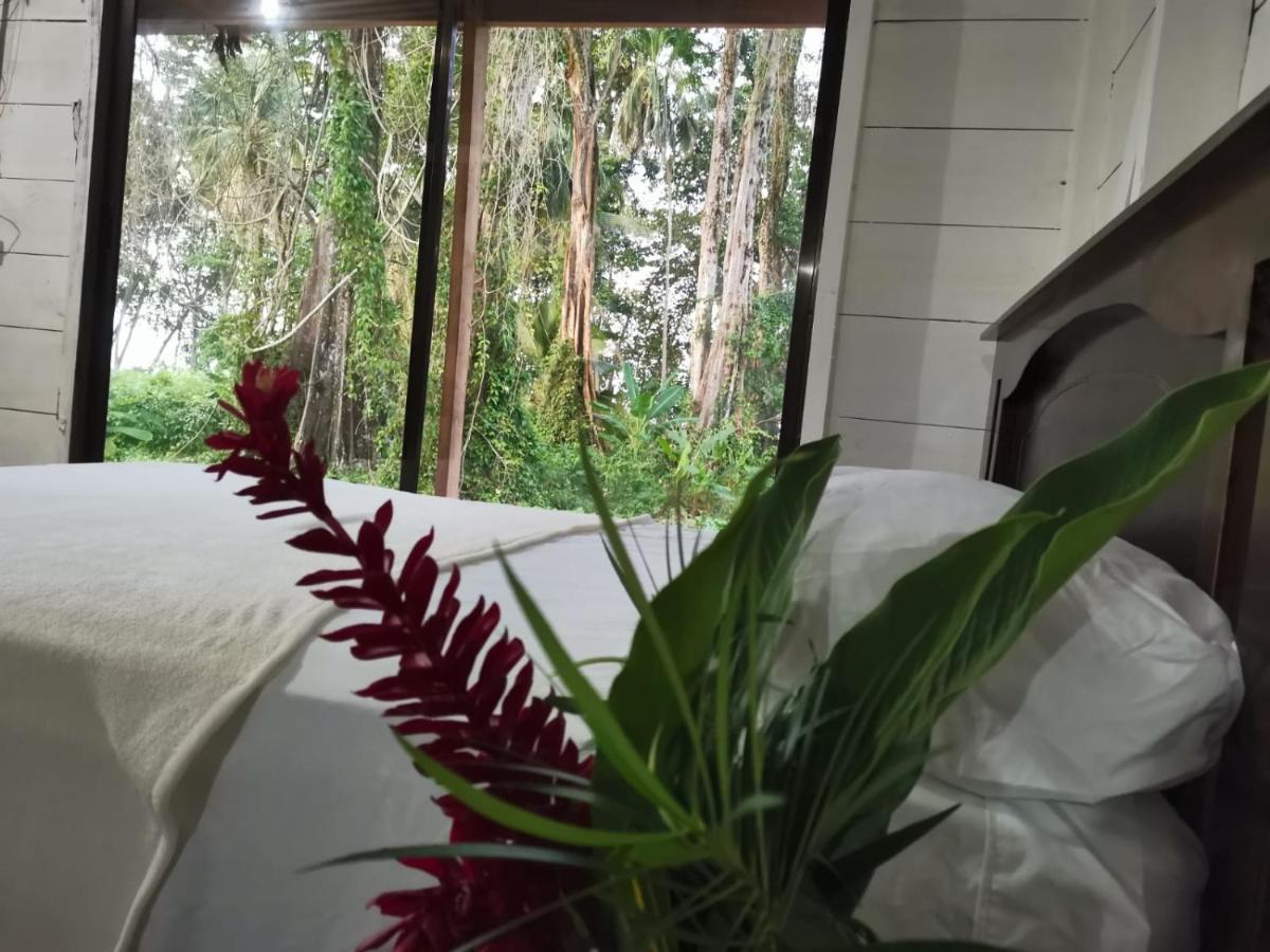 Hostal Cecilia Puerto Viejo de Talamanca Kültér fotó