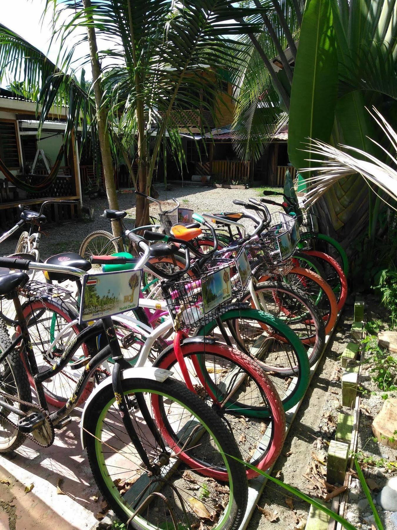Hostal Cecilia Puerto Viejo de Talamanca Kültér fotó