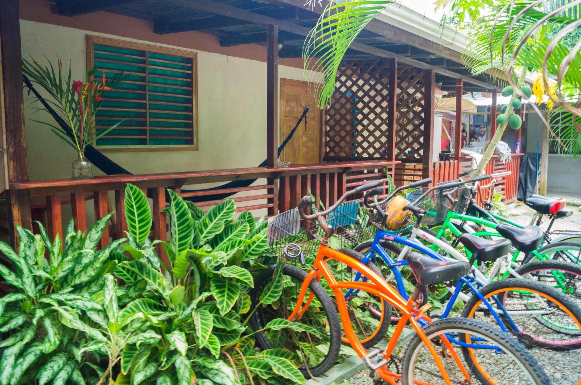 Hostal Cecilia Puerto Viejo de Talamanca Kültér fotó